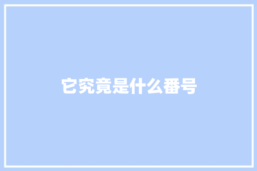 它究竟是什么番号 GoogleSEO