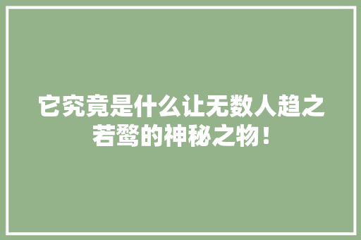 它究竟是什么让无数人趋之若鹜的神秘之物！ 神马SEO
