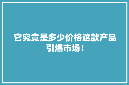 它究竟是多少价格这款产品引爆市场！ 搜狗SEO