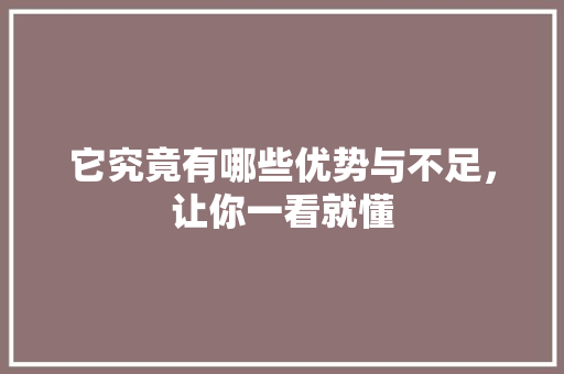 它究竟有哪些优势与不足，让你一看就懂 神马SEO