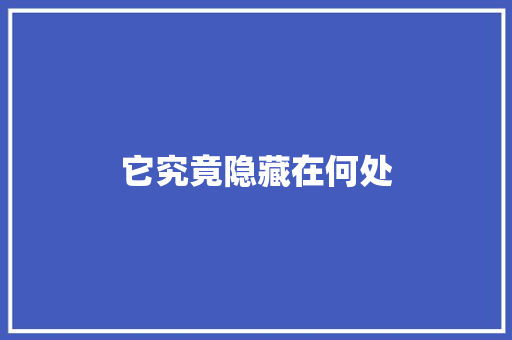 它究竟隐藏在何处 百度SEO