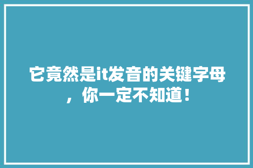 它竟然是it发音的关键字母，你一定不知道！ GoogleSEO