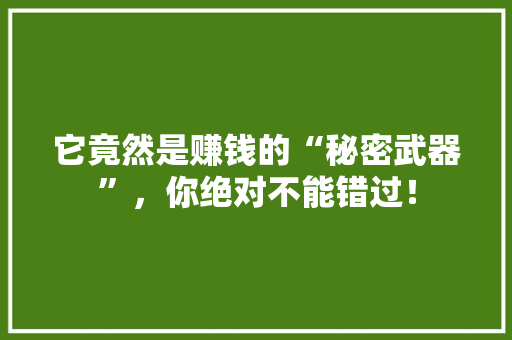 它竟然是赚钱的“秘密武器”，你绝对不能错过！ 百度SEO