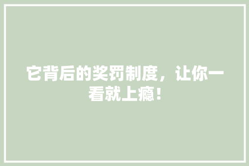 它背后的奖罚制度，让你一看就上瘾！ 百度SEO