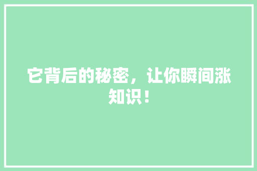 它背后的秘密，让你瞬间涨知识！ 必应SEO