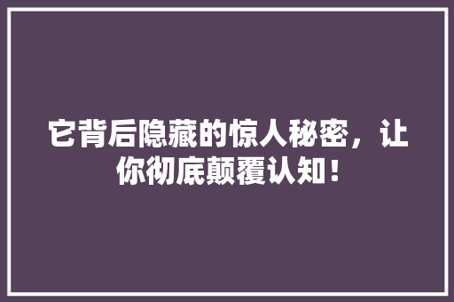 它背后隐藏的惊人秘密，让你彻底颠覆认知！ 百度SEO