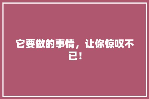 它要做的事情，让你惊叹不已！