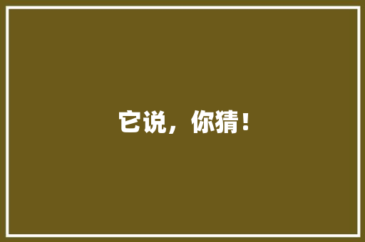 它说，你猜！ 搜狗SEO