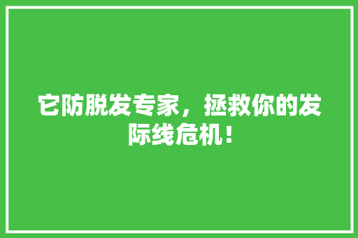 它防脱发专家，拯救你的发际线危机！ 必应SEO