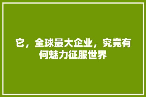 它，全球最大企业，究竟有何魅力征服世界 GoogleSEO
