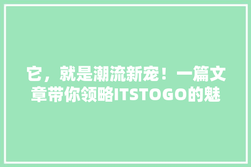 它，就是潮流新宠！一篇文章带你领略ITSTOGO的魅力 搜狗SEO