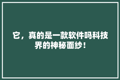 它，真的是一款软件吗科技界的神秘面纱！ 必应SEO