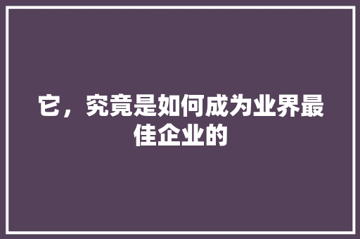 它，究竟是如何成为业界最佳企业的 GoogleSEO