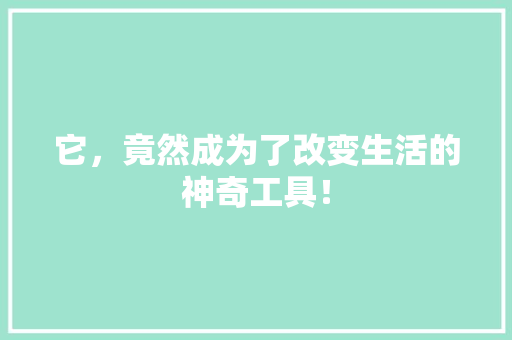 它，竟然成为了改变生活的神奇工具！ GoogleSEO