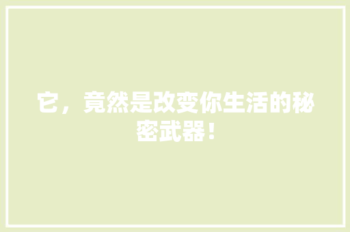 它，竟然是改变你生活的秘密武器！ 百度SEO