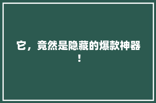 它，竟然是隐藏的爆款神器！ GoogleSEO