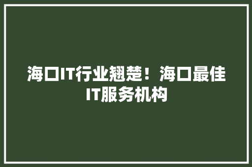 海口IT行业翘楚！海口最佳IT服务机构 百度SEO