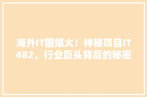 海外IT圈爆火！神秘项目IT482，行业巨头背后的秘密！ 搜狗SEO