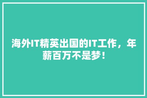 海外IT精英出国的IT工作，年薪百万不是梦！ 百度SEO