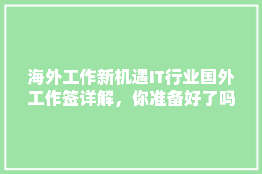 海外工作新机遇IT行业国外工作签详解，你准备好了吗 百度SEO