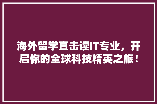 海外留学直击读IT专业，开启你的全球科技精英之旅！ 神马SEO