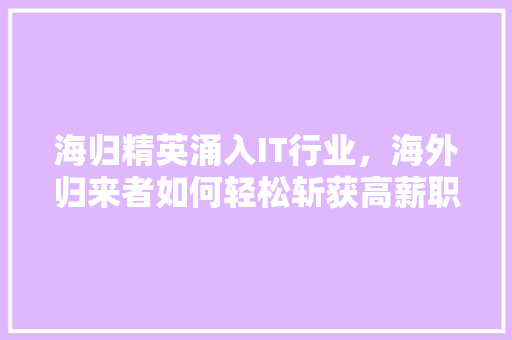 海归精英涌入IT行业，海外归来者如何轻松斩获高薪职位！ 百度SEO