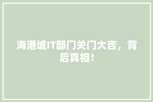 海港城IT部门关门大吉，背后真相！ GoogleSEO