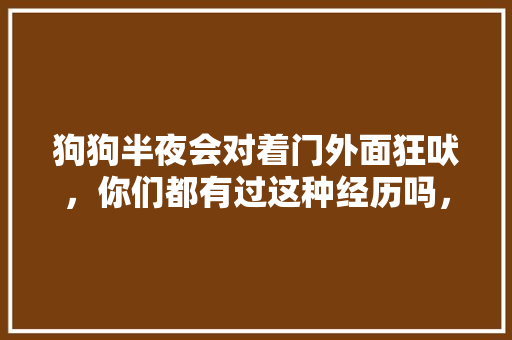 狗狗半夜会对着门外面狂吠，你们都有过这种经历吗，为什么呢「午夜12点狗为什么会叫呢」 狗狗半夜会对着门外面狂吠，你们都有过这种经历吗，为什么呢「午夜12点狗为什么会叫呢」 神马SEO
