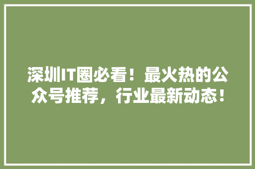 深圳IT圈必看！最火热的公众号推荐，行业最新动态！ GoogleSEO