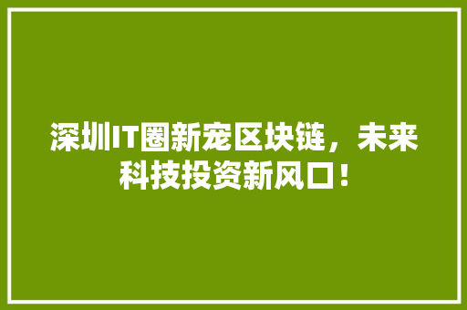 深圳IT圈新宠区块链，未来科技投资新风口！ 神马SEO