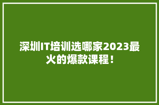 深圳IT培训选哪家2023最火的爆款课程！ 神马SEO