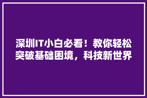 深圳IT小白必看！教你轻松突破基础困境，科技新世界！ 搜狗SEO
