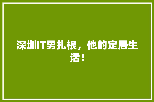 深圳IT男扎根，他的定居生活！ 必应SEO
