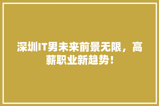 深圳IT男未来前景无限，高薪职业新趋势！ 必应SEO