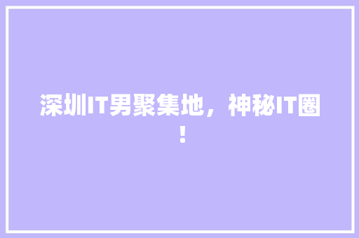 深圳IT男聚集地，神秘IT圈！ GoogleSEO
