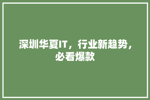 深圳华夏IT，行业新趋势，必看爆款 必应SEO