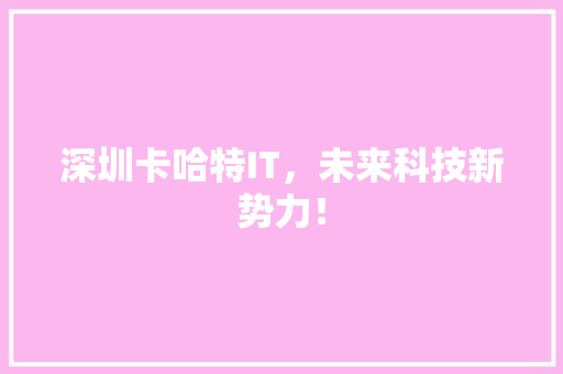 深圳卡哈特IT，未来科技新势力！ 百度SEO