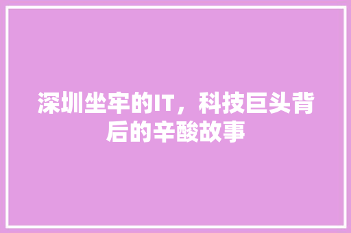 深圳坐牢的IT，科技巨头背后的辛酸故事 GoogleSEO