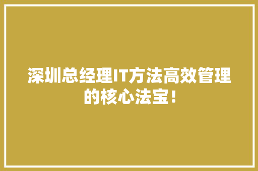 深圳总经理IT方法高效管理的核心法宝！ 神马SEO