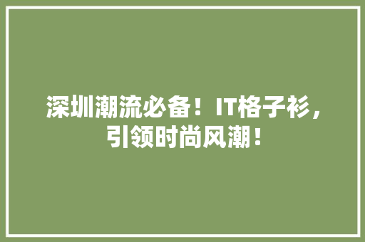 深圳潮流必备！IT格子衫，引领时尚风潮！ GoogleSEO