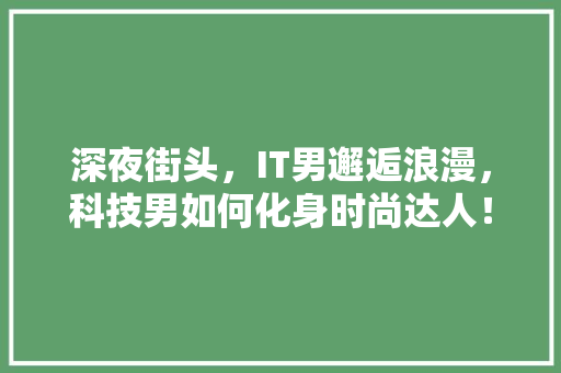 深夜街头，IT男邂逅浪漫，科技男如何化身时尚达人！ 神马SEO