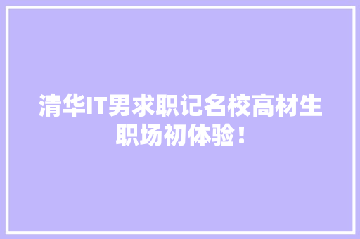 清华IT男求职记名校高材生职场初体验！ 神马SEO