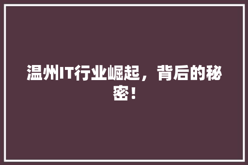 温州IT行业崛起，背后的秘密！ 必应SEO