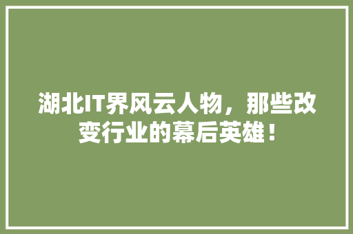 湖北IT界风云人物，那些改变行业的幕后英雄！ 搜狗SEO