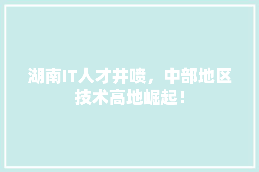 湖南IT人才井喷，中部地区技术高地崛起！ 百度SEO