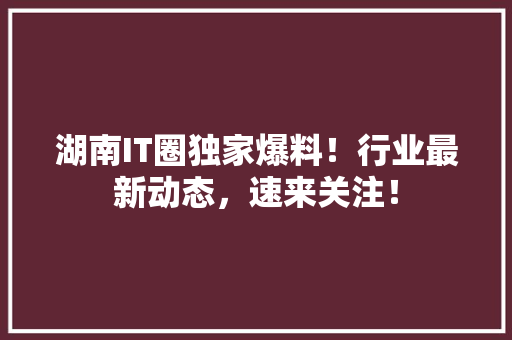 湖南IT圈独家爆料！行业最新动态，速来关注！ 必应SEO