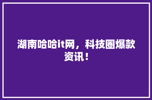 湖南哈哈it网，科技圈爆款资讯！ GoogleSEO