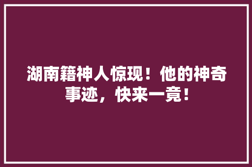 湖南籍神人惊现！他的神奇事迹，快来一竟！ 神马SEO