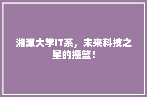 湘潭大学IT系，未来科技之星的摇篮！ GoogleSEO