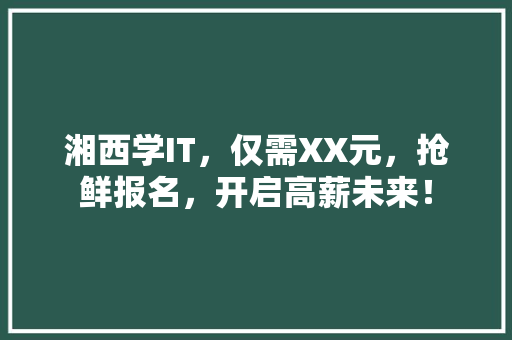 湘西学IT，仅需XX元，抢鲜报名，开启高薪未来！ 必应SEO